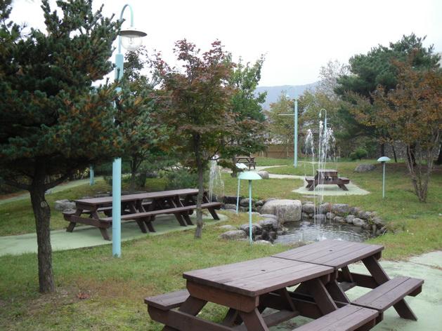 SDC13919_resize.JPG